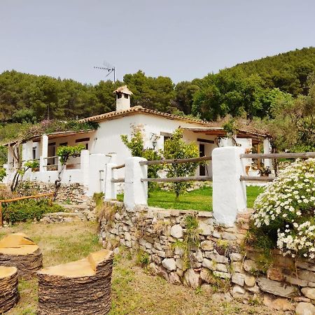 Villa Huerta Nacimiento Montecorto Kültér fotó