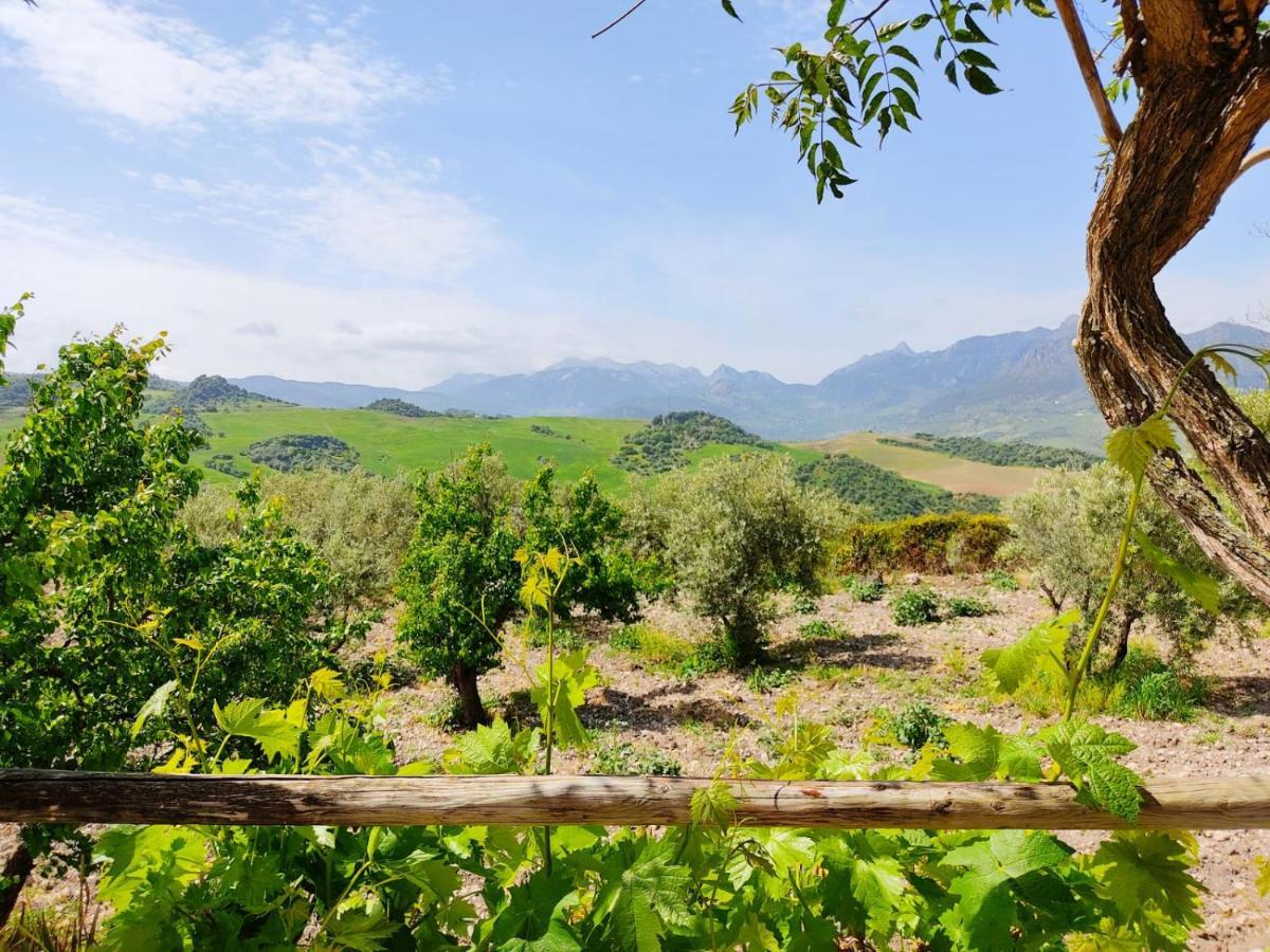 Villa Huerta Nacimiento Montecorto Kültér fotó